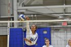 Volleyball vs Babson  Wheaton Women's Volleyball vs Babson College. - Photo by Keith Nordstrom : Wheaton, Volleyball, VB